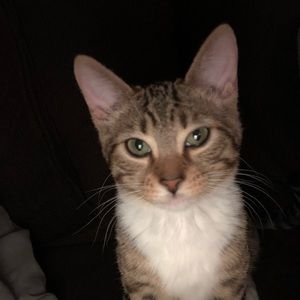 Meet your Posher, Tracy